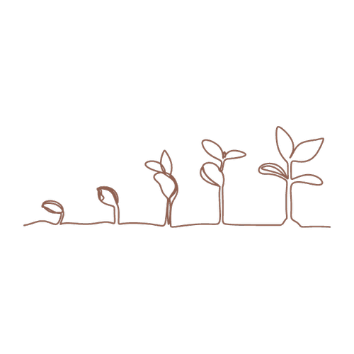 Line art illustration of sprouts growing in stages, symbolizing a high-growth salon business in Fort Worth, TX.