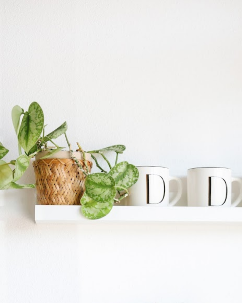 White wall shelf with trailing plant and coffee mugs in Fort Worth.